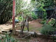 Casas, na Zona Norte, Bairro Jardim Alvina, com 5...