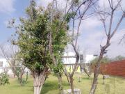 Casas Nuevas En Venta, Ideal Para Crédito INFONAVIT Y... Casas Nuevas En Venta, Ideal Para Crédito INFONAVIT Y...