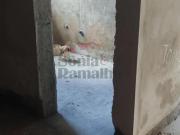 Casas Residenciais Padrão em Ribeirão Preto