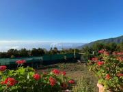 Casas Rurais Orotava, La Santa Cruz De Tenerife 60079833