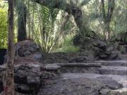 Casas, Town Houses y Departamentos en Coyoacan para estrenar