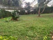 Casas, Venta, Ciudad Jardín