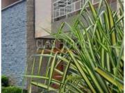 Casas, Venta, Ciudad Jardín