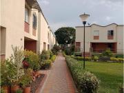 Casas, Venta, El Limonar