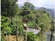 Casas, Venta, Pichindé