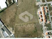 Cascais Cascais 88519114