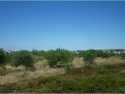 Cascais Cascais 98338096