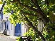 Cascastel des Corbières 11360 Achat / Vente maison 5...