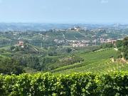 Cascina in vendita a Neviglie
