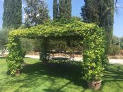 Case e ville in affitto di 1000 m² in Via Baccanello