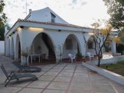 Case e ville in affitto di 100 m² in Via Nicola Massaro, 45