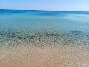 Case e ville in affitto di 100 m² in Viale dei Pini