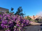 Case e ville in affitto di 170 m² in Via di Bravetta