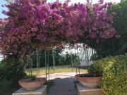 Case e ville in affitto di 250 m² in Via S. Nullo, 172