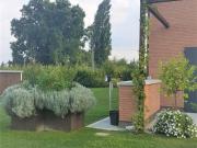 Case e ville in affitto di 320 m² in Via Muraglia, 1