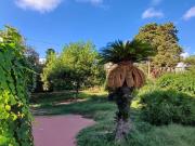 Case e ville in affitto di 400 m² in Via Marechiaro, 115