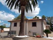 Case e ville in affitto di 500 m² in Via Latina