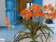 Case e ville in affitto di 90 m²