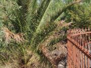 Case e ville in vendita di 100 m² in Contrada Badalati