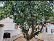 Case e ville in vendita di 100 m² in Contrada Cona