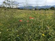 Case e ville in vendita di 100 m² in Via Prulli di Sotto