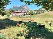 Case e ville in vendita di 1050 m² in Via albard, 11