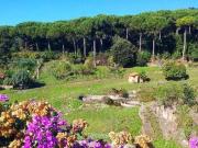 Case e ville in vendita di 1100 m² in Via appia nuova