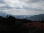 Case e ville in vendita di 120 m²