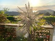 Case e ville in vendita di 120 m² in Località Portella...