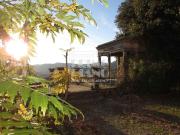 Case e ville in vendita di 1383 m² in Via per Corte...