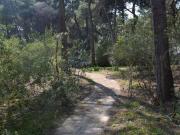 Case e ville in vendita di 140 m²