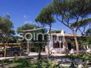 Case e ville in vendita di 158 m² in Viale dei Centauri, 23