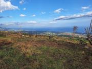 Case e ville in vendita di 160 m²