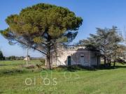 Case e ville in vendita di 162 m²