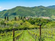 Case e ville in vendita di 165 m² in Frazione Frascole, 33