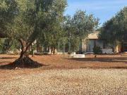 Case e ville in vendita di 170 m² in Contrada Favone