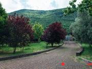 Case e ville in vendita di 170 m² in Via Pietra Rea