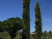 Case e ville in vendita di 175 m² in Via XXV Aprile