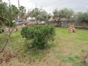 Case e ville in vendita di 185 m² in Strada Benali