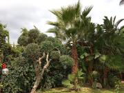 Case e ville in vendita di 190 m² in Via degli Allori