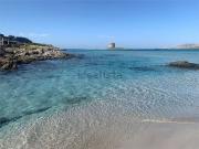 Case e ville in vendita di 200 m² in Via Alberto dalla...