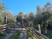 Case e ville in vendita di 200 m² in Via del Casaletto Rosso