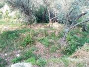 Case e ville in vendita di 200 m² in Via Mulinello