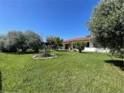 Case e ville in vendita di 205 m² in Via Cecco Angiolieri