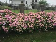 Case e ville in vendita di 207 m²