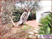 Case e ville in vendita di 210 m² in Via Gregorio, 160