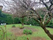 Case e ville in vendita di 211 m²