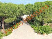 Case e ville in vendita di 212 m²