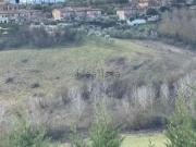 Case e ville in vendita di 215 m² in Via di Città