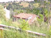 Case e ville in vendita di 217 m² in Via Elpidiense, 1901